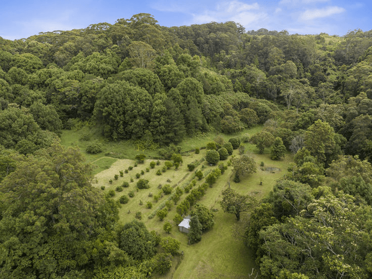 1101 Reserve Creek Road, RESERVE CREEK, NSW 2484