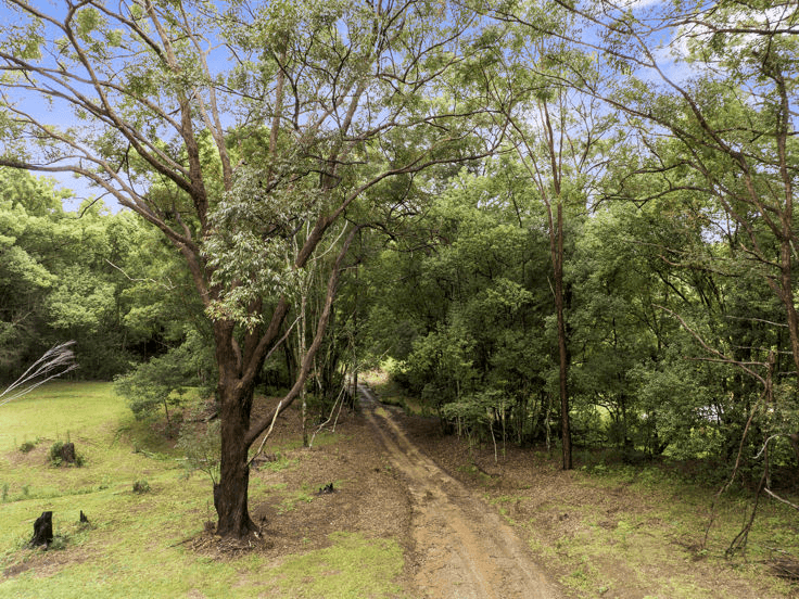 1101 Reserve Creek Road, RESERVE CREEK, NSW 2484