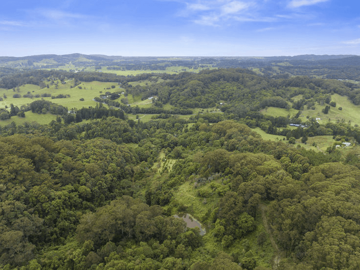 1101 Reserve Creek Road, RESERVE CREEK, NSW 2484