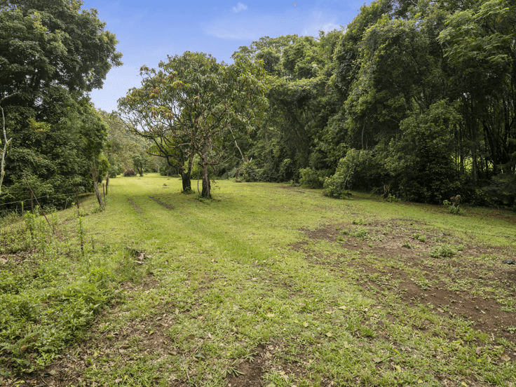 1101 Reserve Creek Road, RESERVE CREEK, NSW 2484