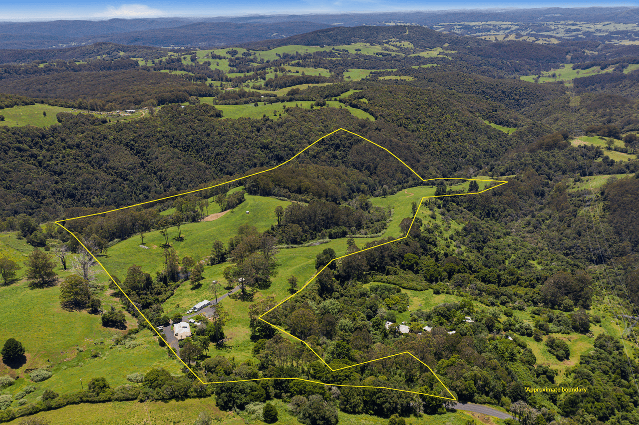 112 McIndoes Road, DORRIGO, NSW 2453