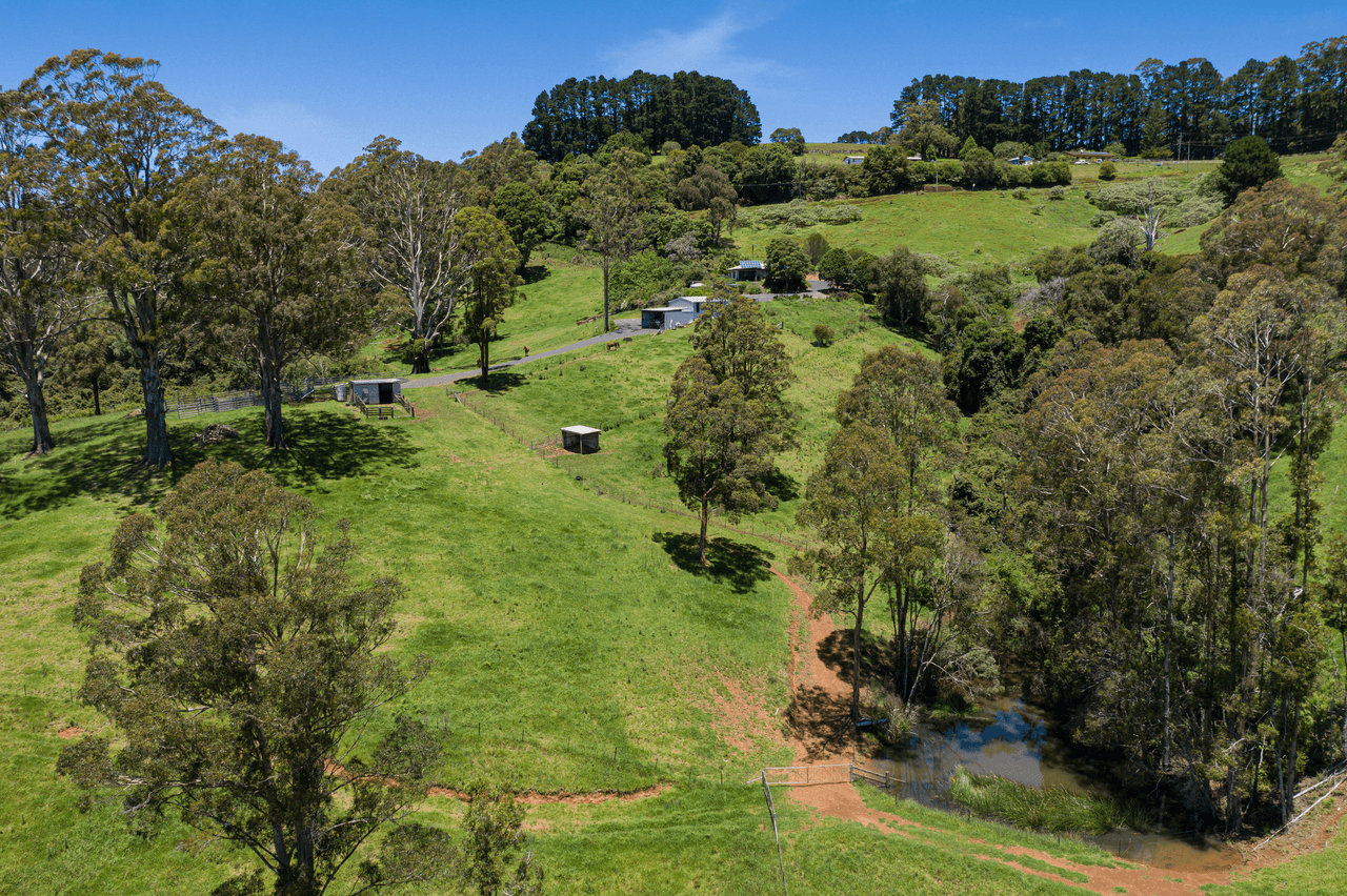 112 McIndoes Road, DORRIGO, NSW 2453