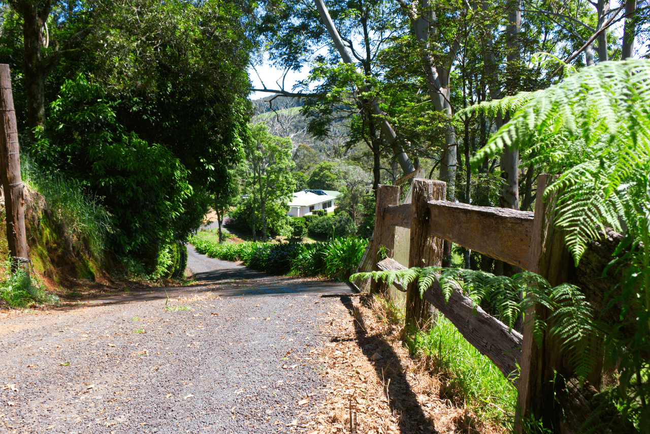 112 McIndoes Road, DORRIGO, NSW 2453