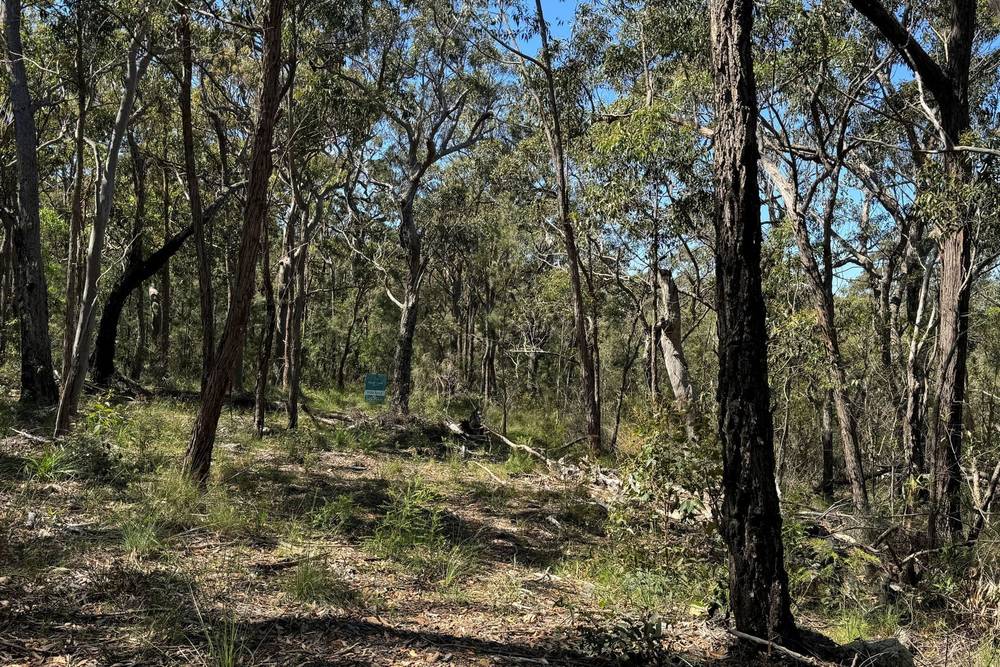 Carrington Avenue, Pindimar, NSW 2324