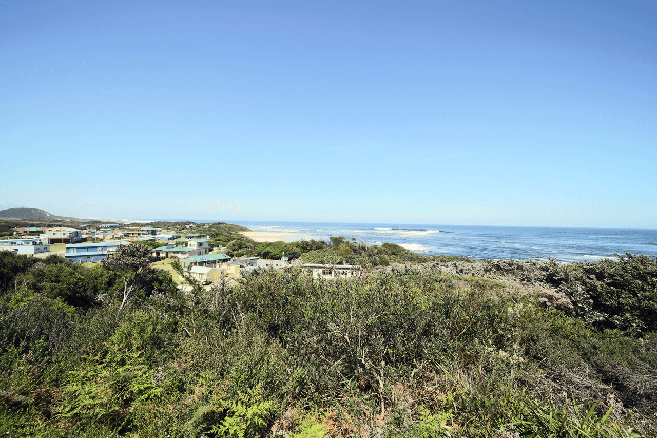 14 Ernies Drive, TRIAL HARBOUR, TAS 7469