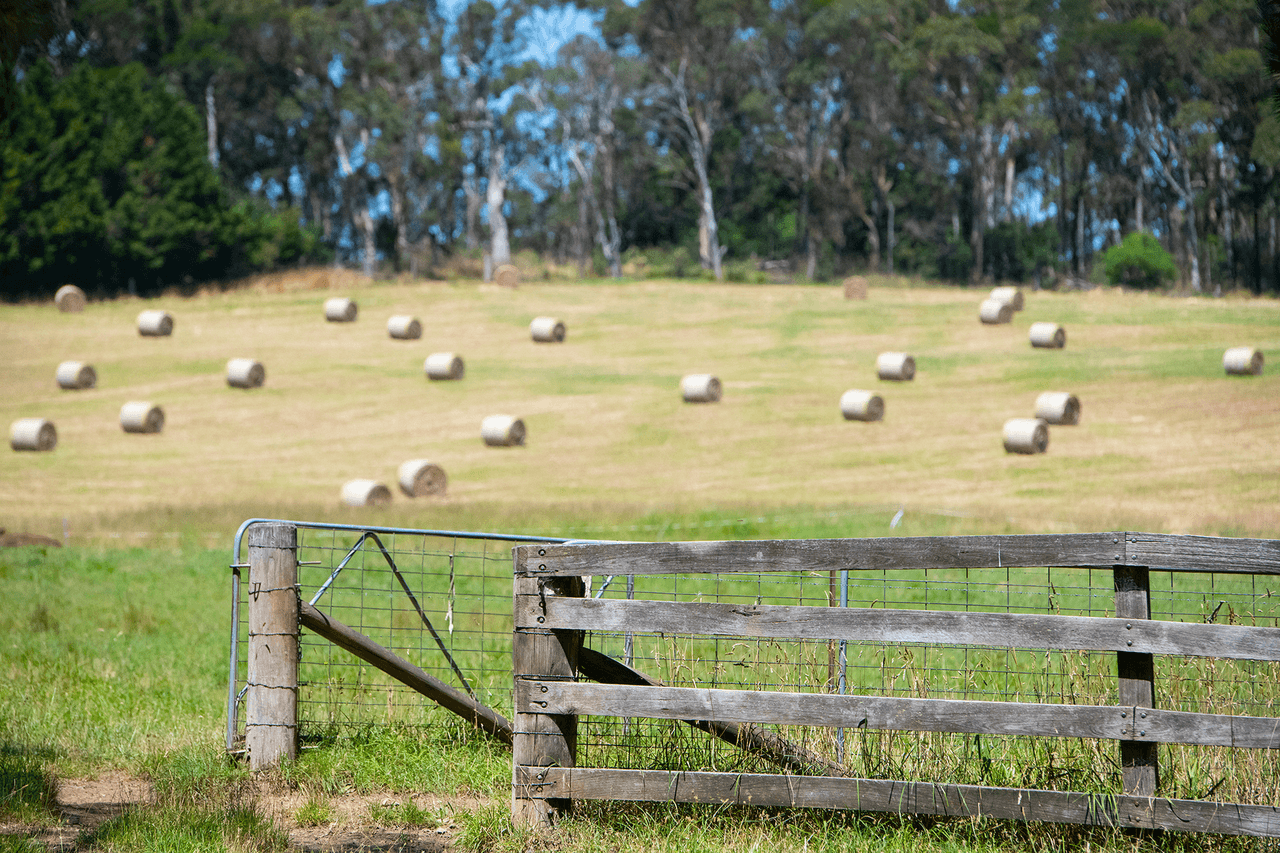 544 Old Argyle Road, Exeter, NSW 2579