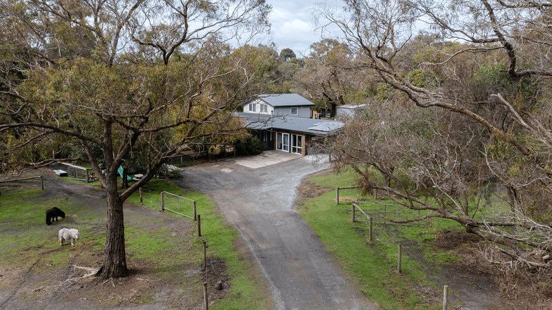 10 Gum Hill Drive, LANGWARRIN, VIC 3910