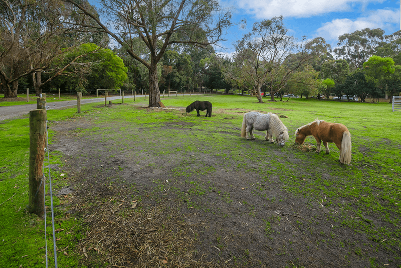 10 Gum Hill Drive, LANGWARRIN, VIC 3910