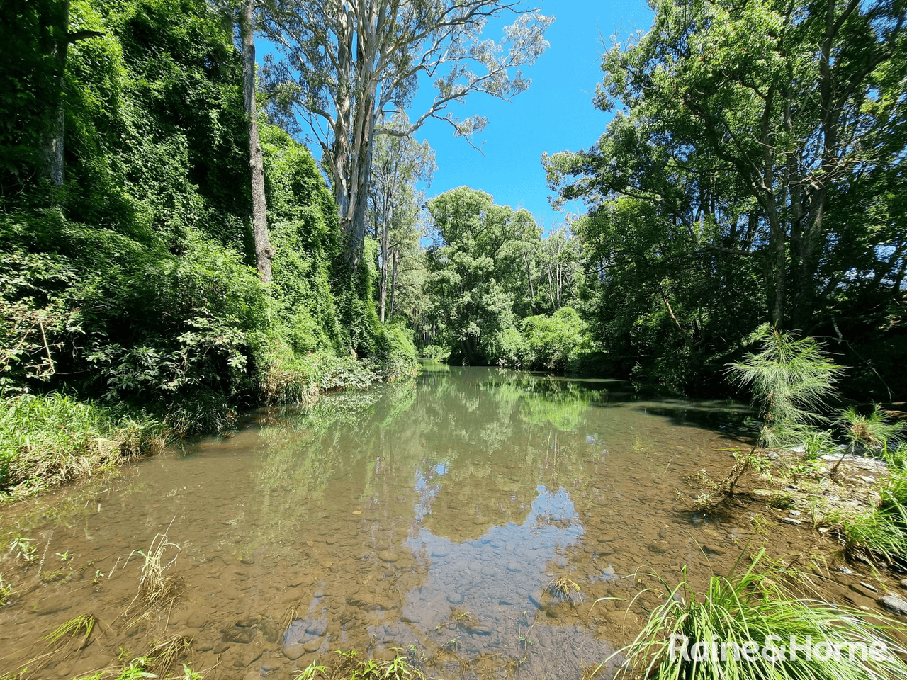 744 Lynches Creek Road, Lynches Creek, KYOGLE, NSW 2474