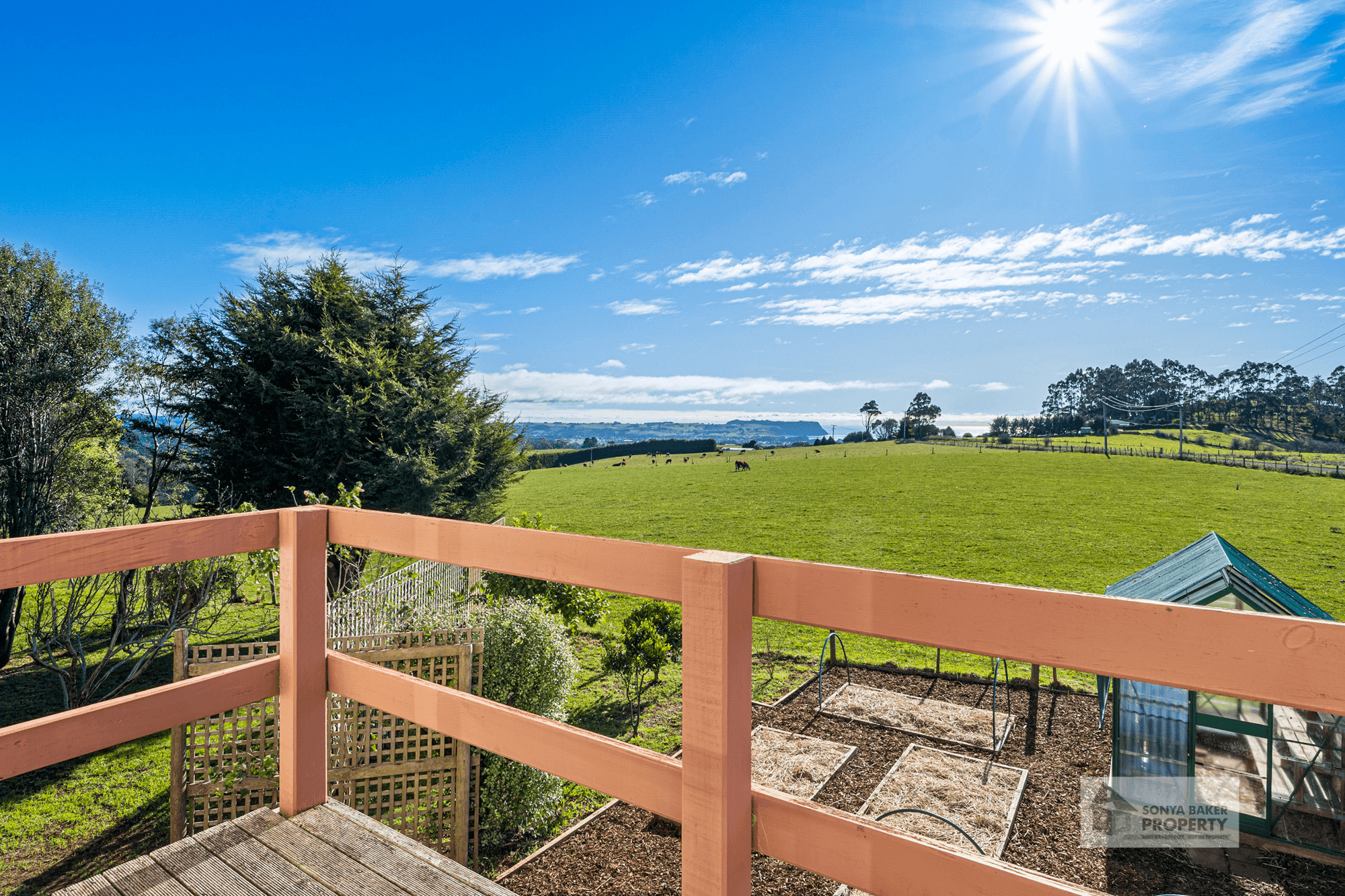 116 Old Mount Hicks Road, MOUNT HICKS, TAS 7325