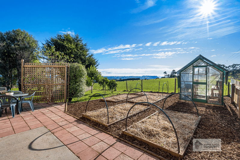 116 Old Mount Hicks Road, MOUNT HICKS, TAS 7325