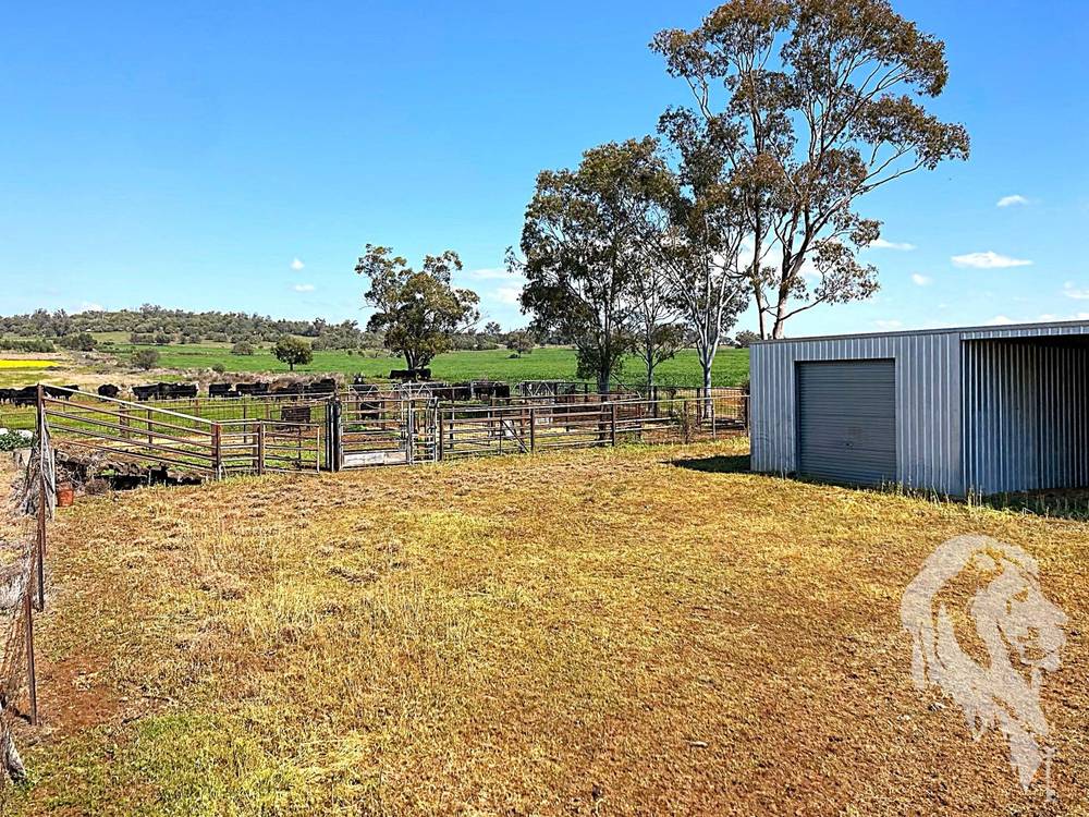 377 Coocooboonah Lane, GUNNEDAH, NSW 2380