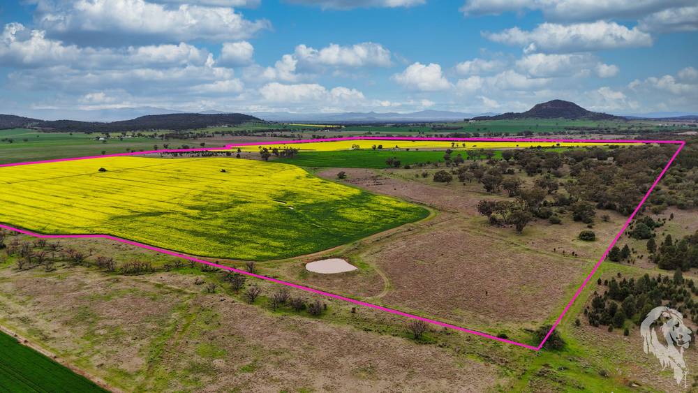 377 Coocooboonah Lane, GUNNEDAH, NSW 2380