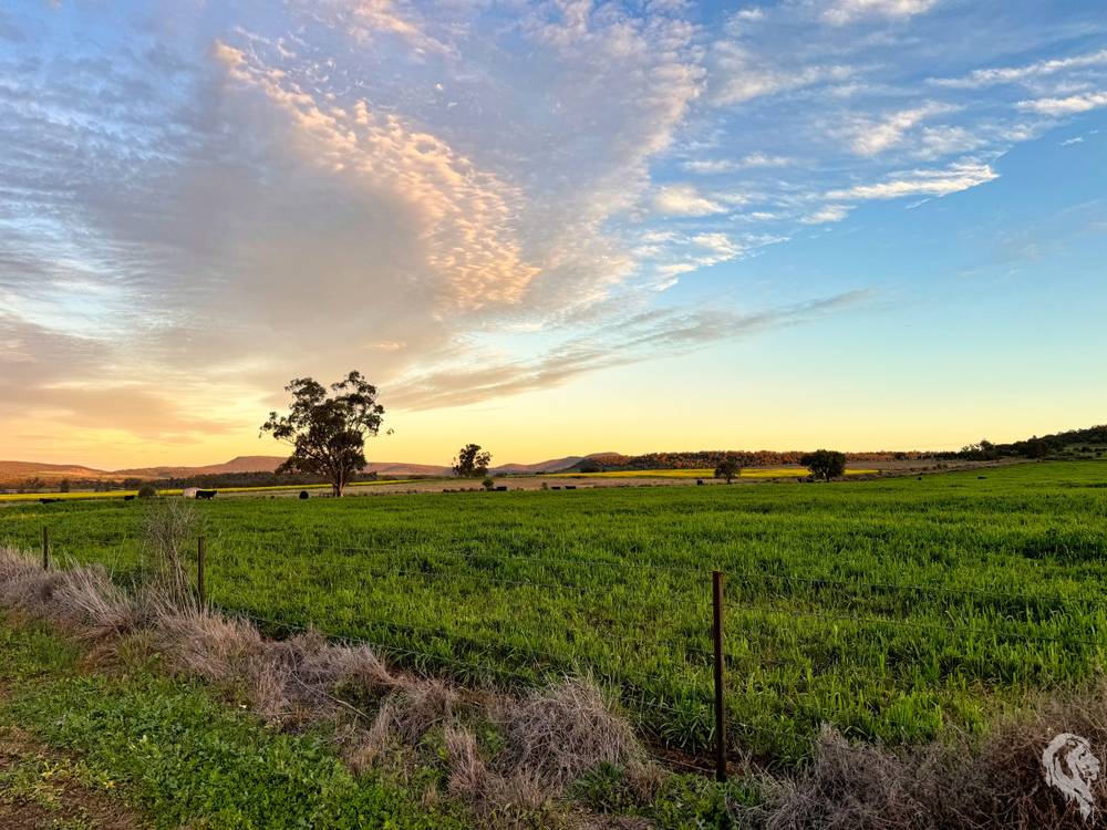 377 Coocooboonah Lane, GUNNEDAH, NSW 2380