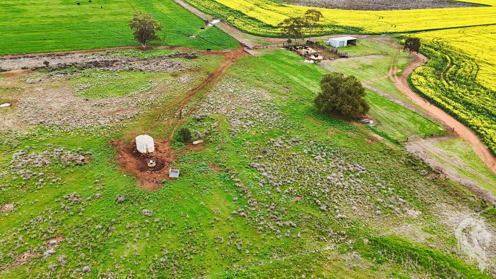 377 Coocooboonah Lane, GUNNEDAH, NSW 2380