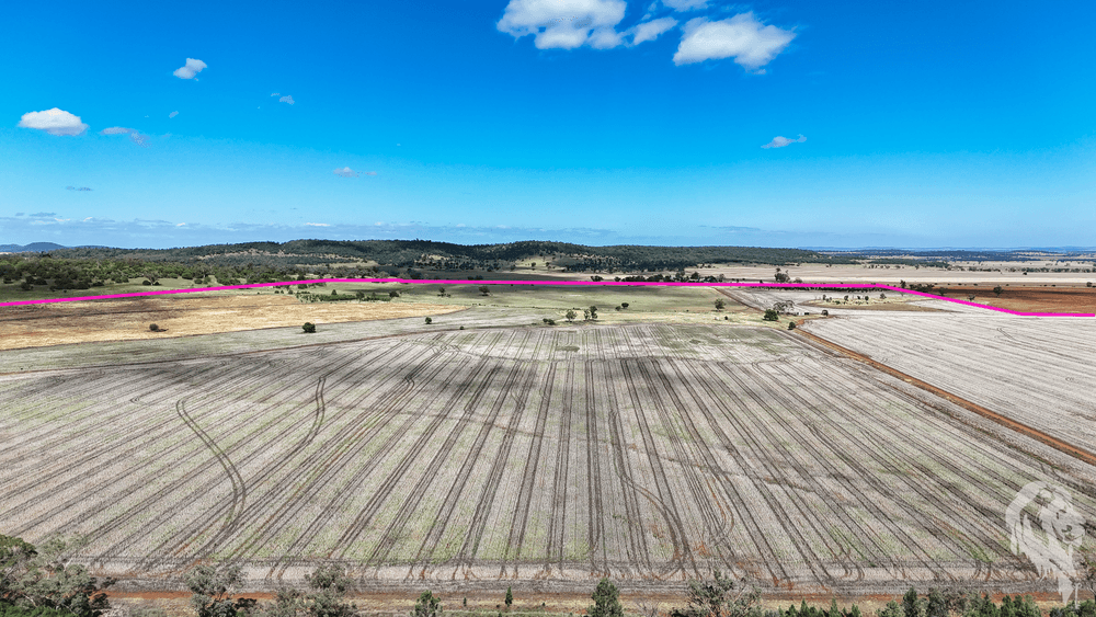 377 Coocooboonah Lane, GUNNEDAH, NSW 2380