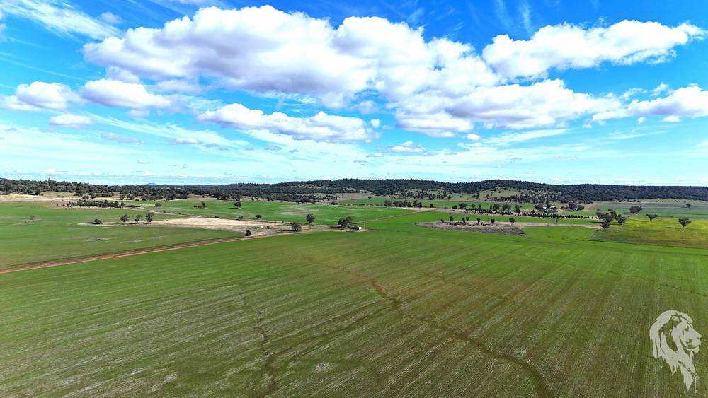 377 Coocooboonah Lane, GUNNEDAH, NSW 2380