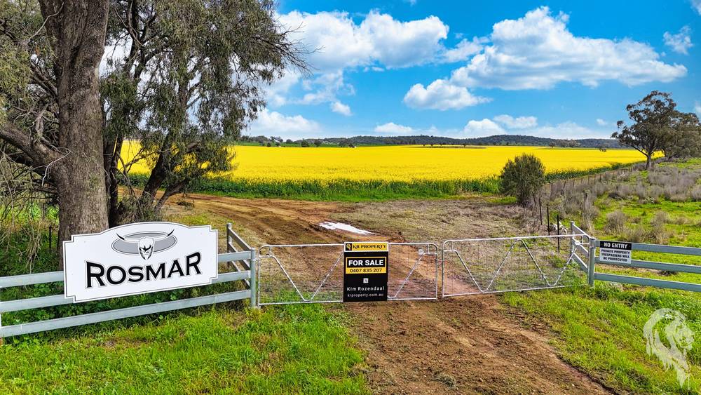 377 Coocooboonah Lane, GUNNEDAH, NSW 2380