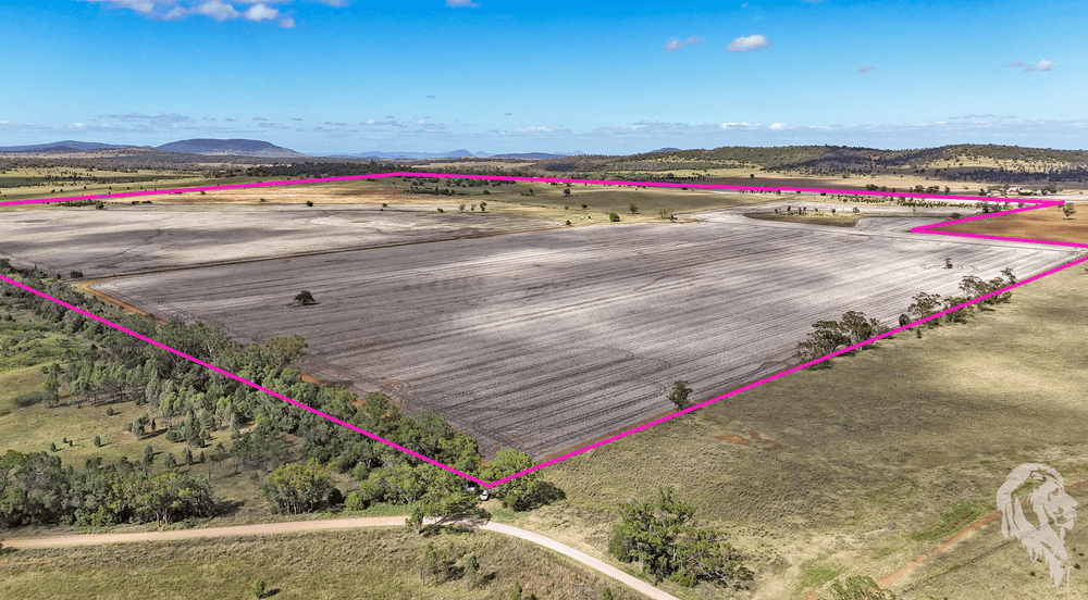 377 Coocooboonah Lane, GUNNEDAH, NSW 2380