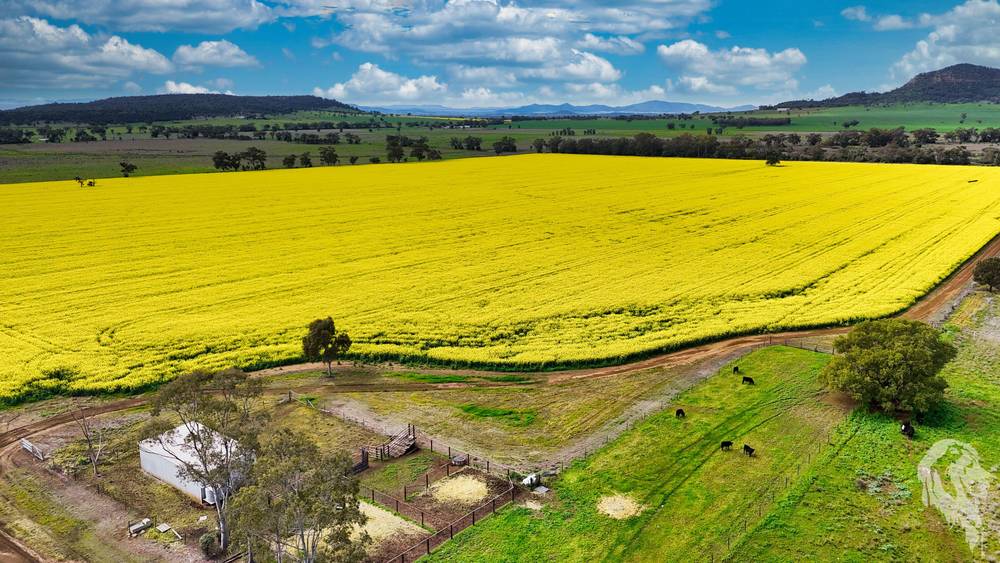 377 Coocooboonah Lane, GUNNEDAH, NSW 2380