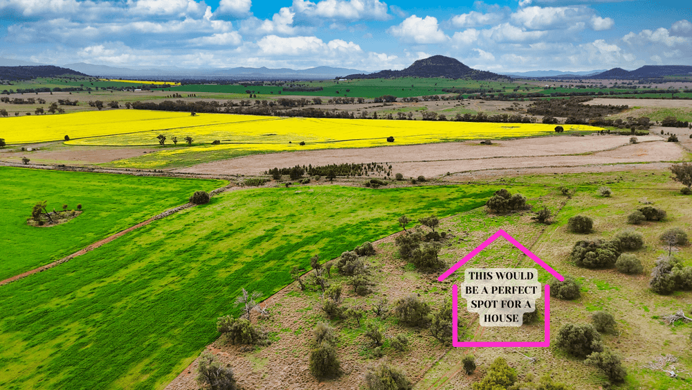 377 Coocooboonah Lane, GUNNEDAH, NSW 2380