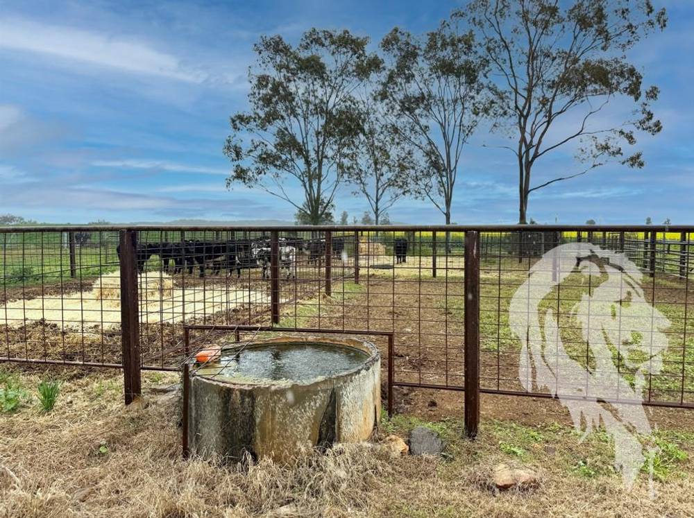 377 Coocooboonah Lane, GUNNEDAH, NSW 2380