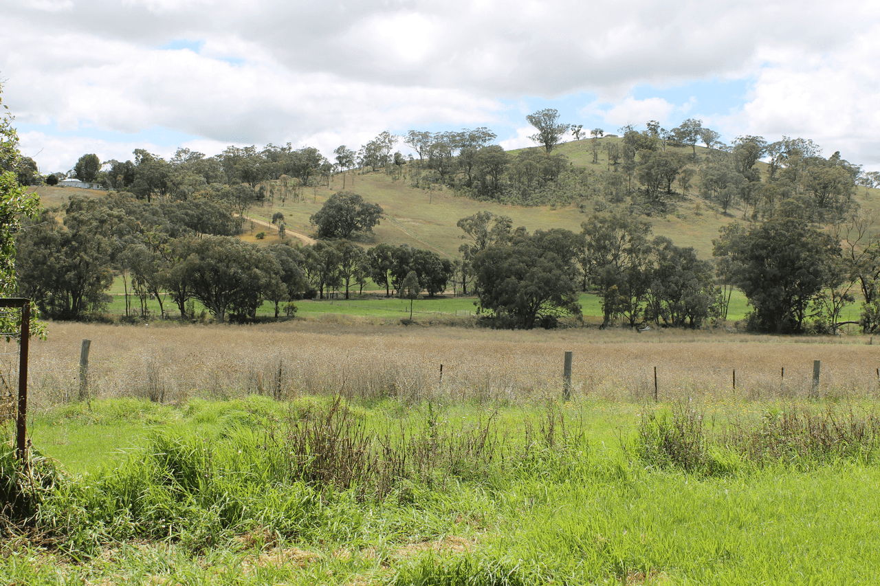 112 Norris Lane, GULGONG, NSW 2852