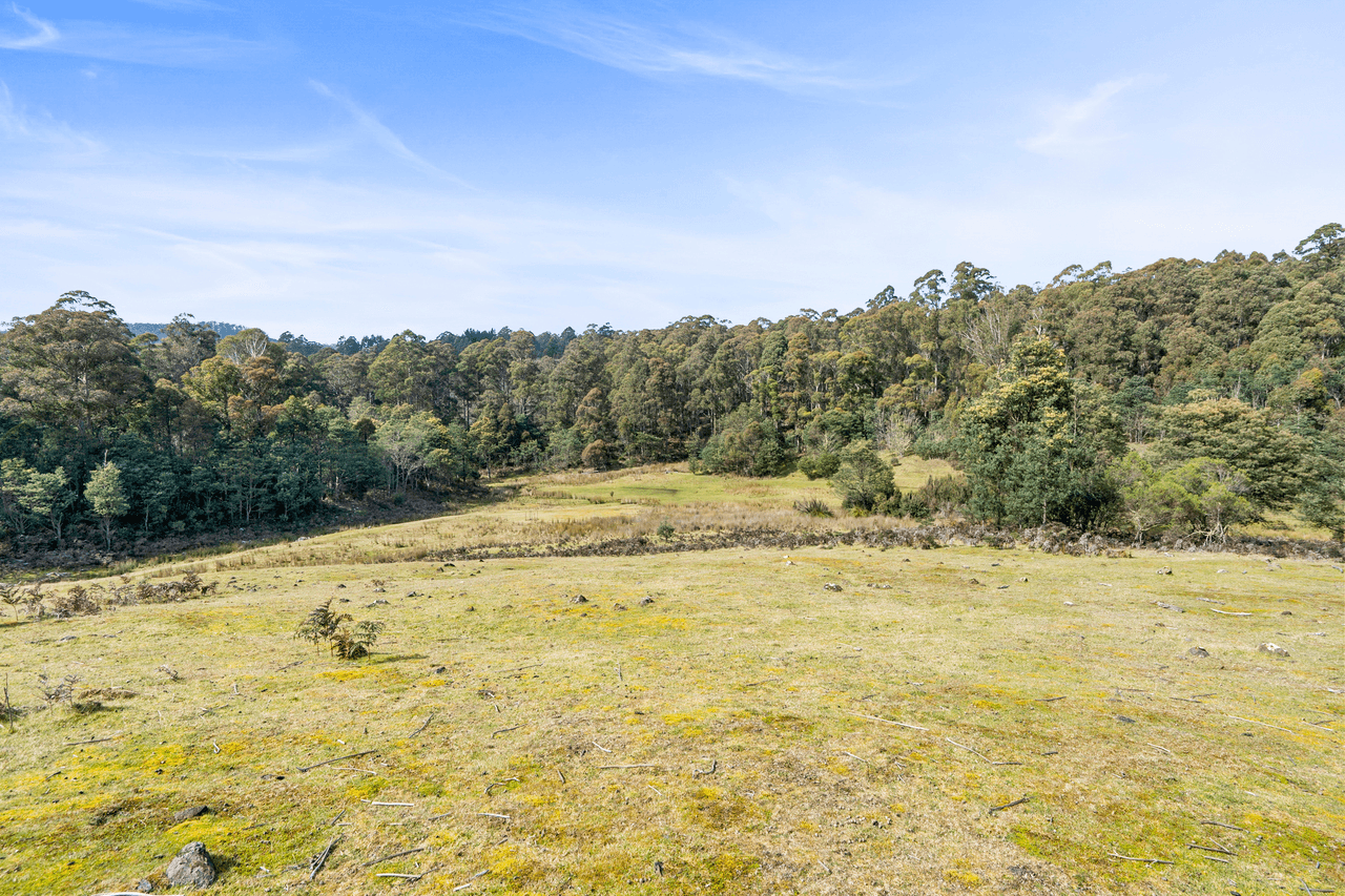 108 New Country Marsh Road, LEVENDALE, TAS 7120