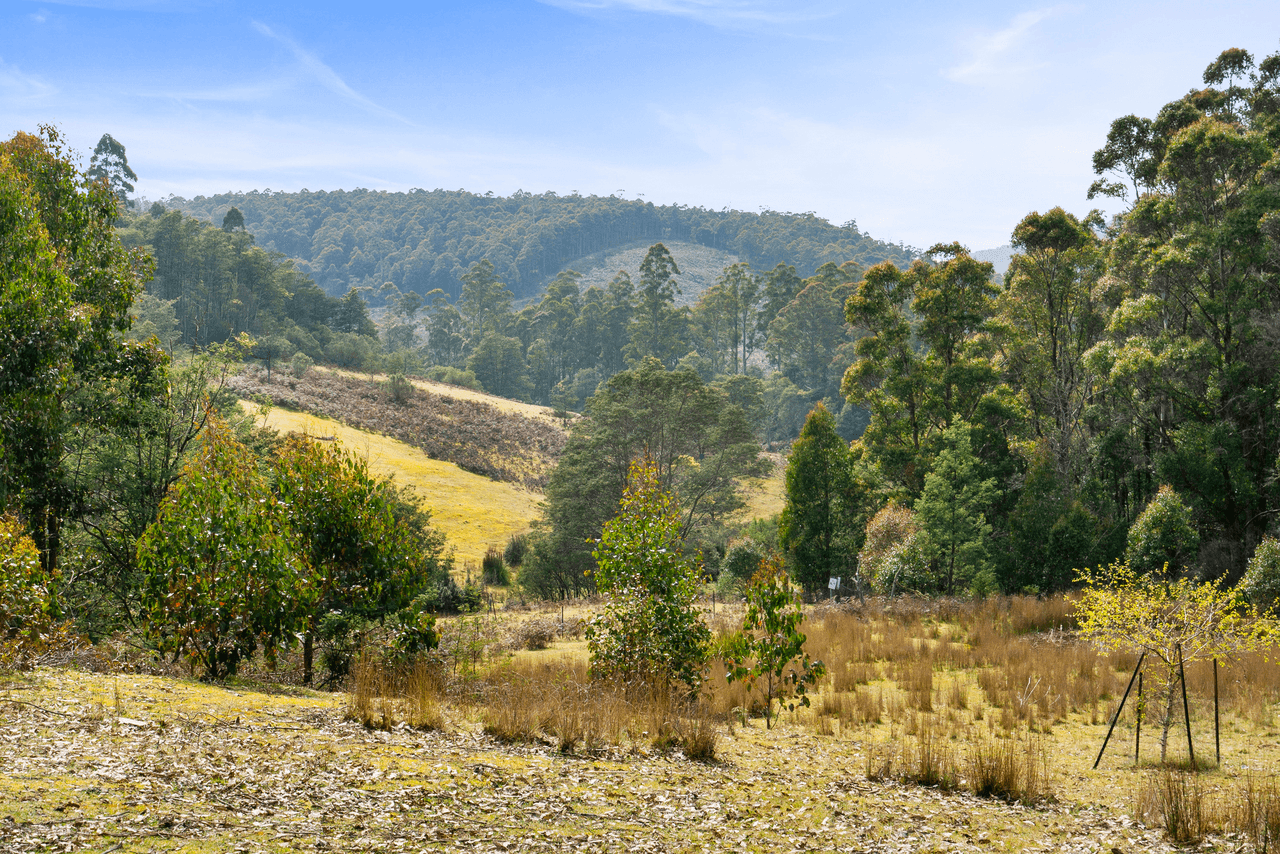 108 New Country Marsh Road, LEVENDALE, TAS 7120