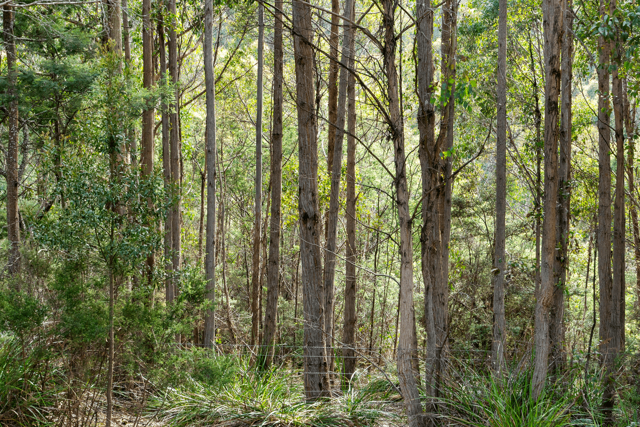 108 New Country Marsh Road, LEVENDALE, TAS 7120