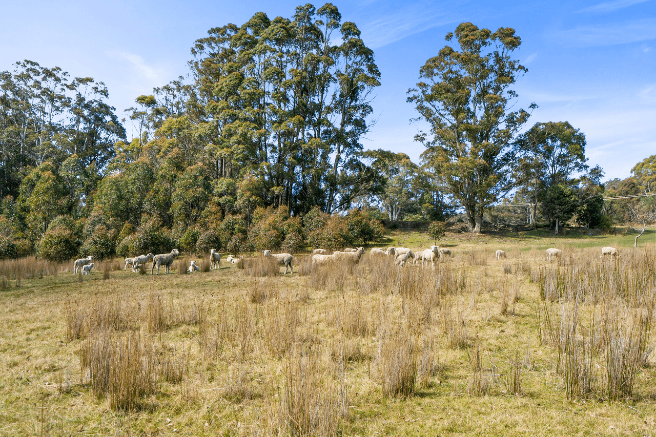 108 New Country Marsh Road, LEVENDALE, TAS 7120