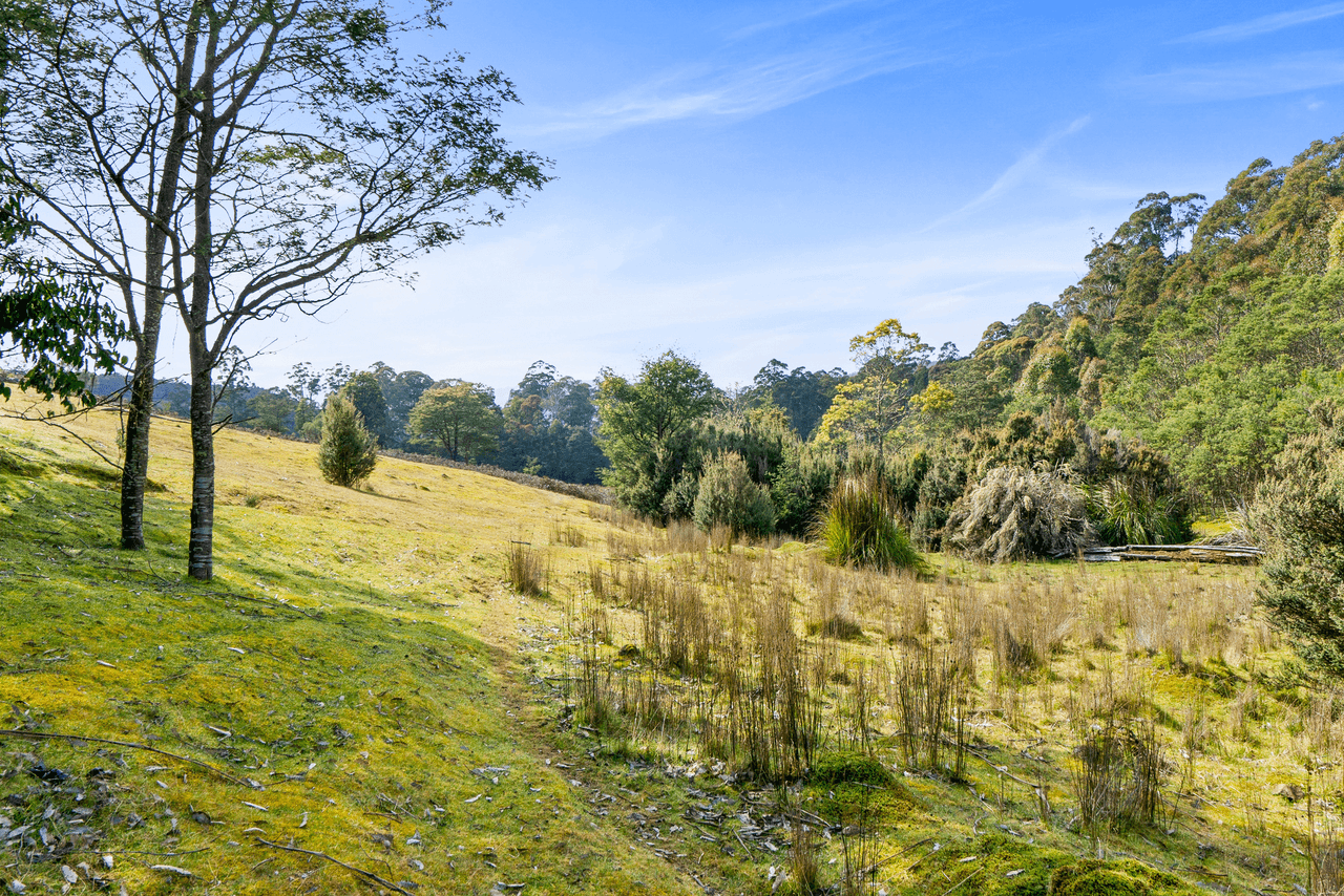 108 New Country Marsh Road, LEVENDALE, TAS 7120