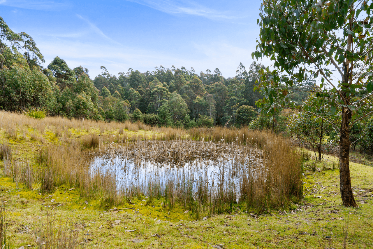 108 New Country Marsh Road, LEVENDALE, TAS 7120