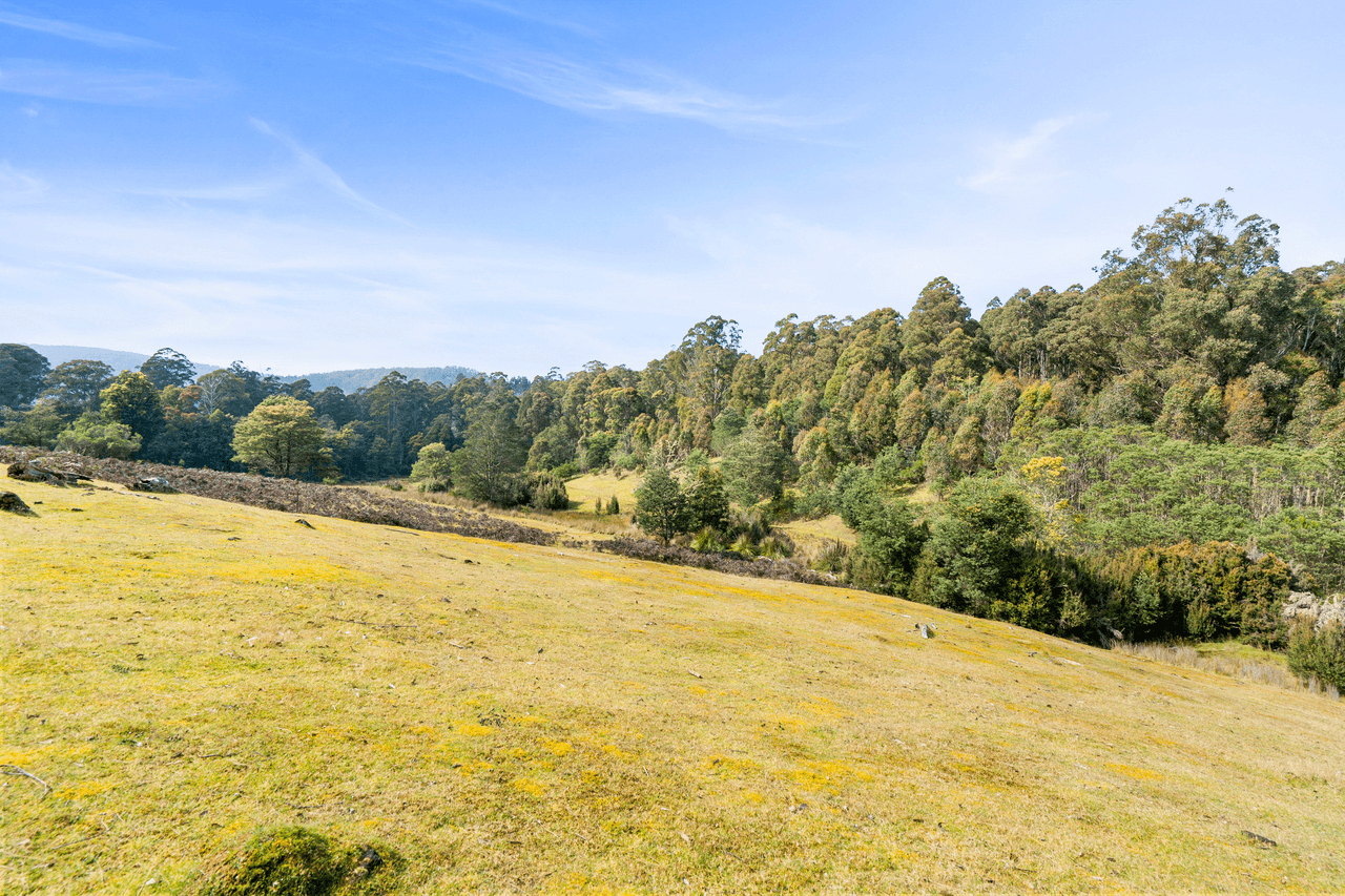 108 New Country Marsh Road, LEVENDALE, TAS 7120