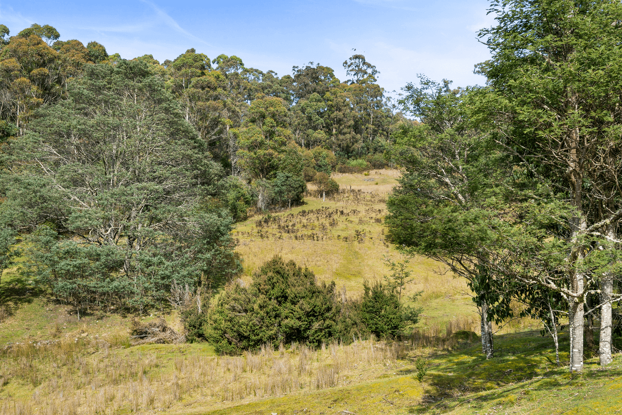 108 New Country Marsh Road, LEVENDALE, TAS 7120