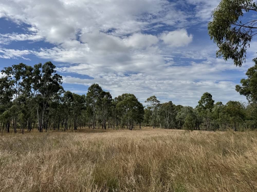 41 Netz Access Road, Ceratodus, QLD 4627