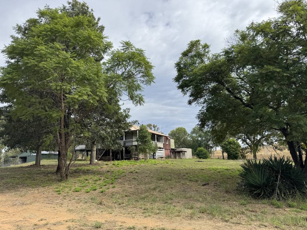 41 Netz Access Road, Ceratodus, QLD 4627