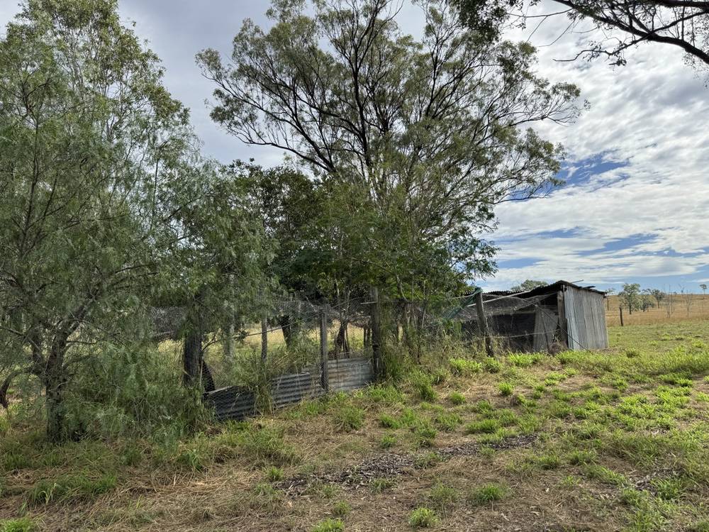41 Netz Access Road, Ceratodus, QLD 4627