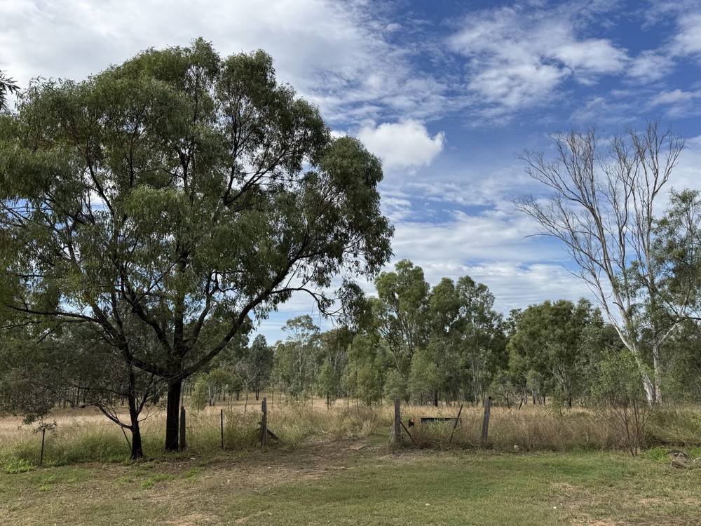 41 Netz Access Road, Ceratodus, QLD 4627