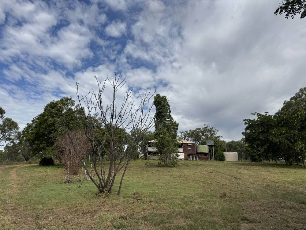 41 Netz Access Road, Ceratodus, QLD 4627