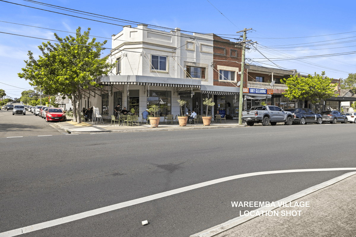 1 Checkley Street, Abbotsford, NSW 2046