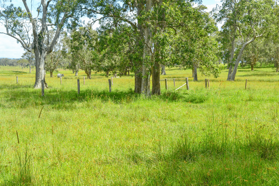 206  Russell Road, WOODFORD ISLAND, NSW 2463