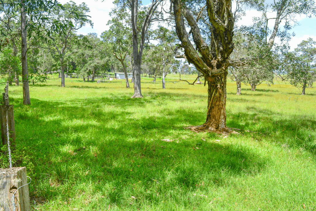 206  Russell Road, WOODFORD ISLAND, NSW 2463