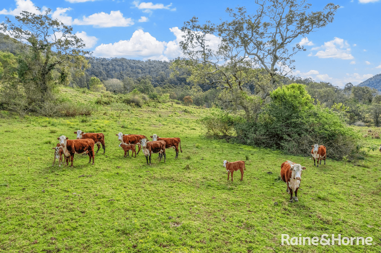 Blackhorse Road, Eden Creek via, KYOGLE, NSW 2474