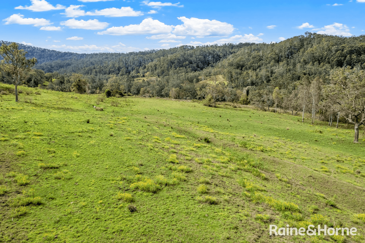 Blackhorse Road, Eden Creek via, KYOGLE, NSW 2474