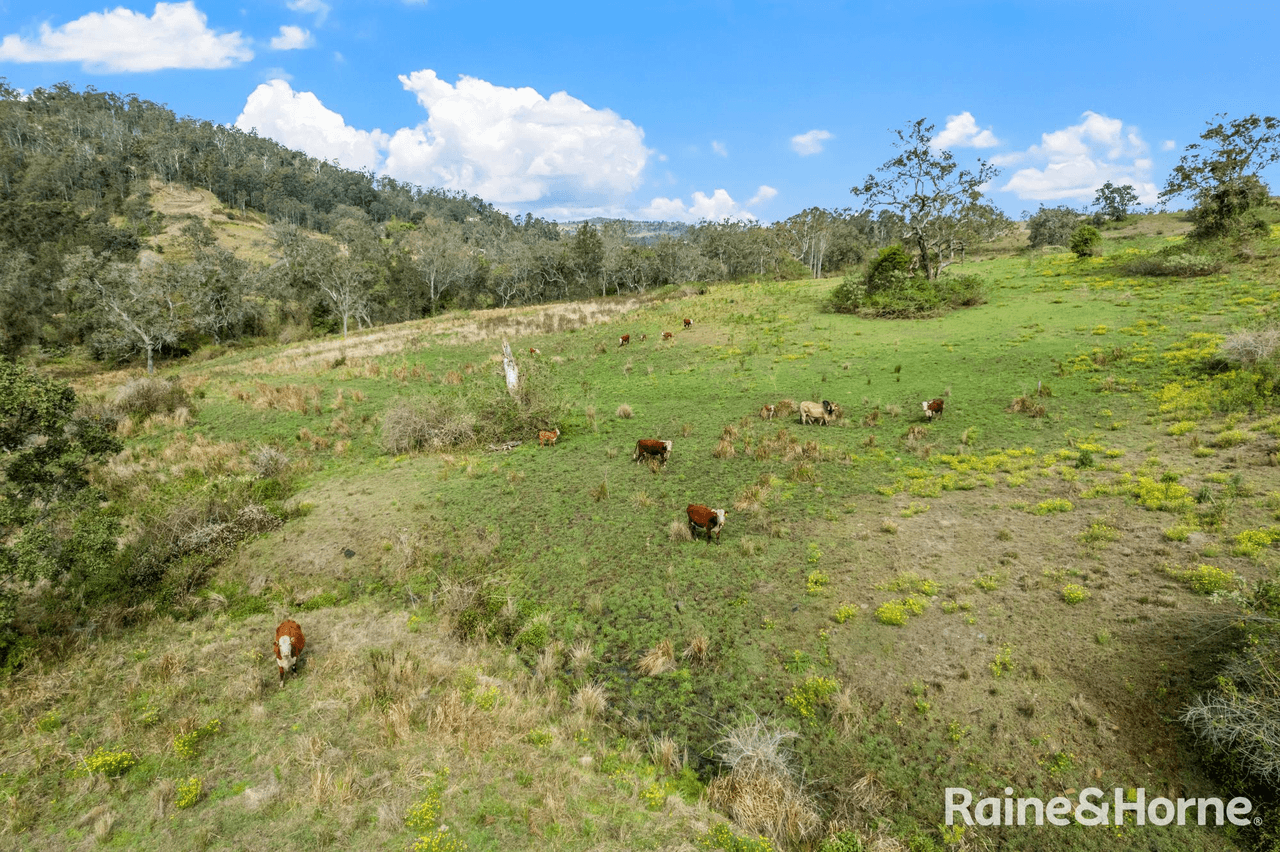 Blackhorse Road, Eden Creek via, KYOGLE, NSW 2474