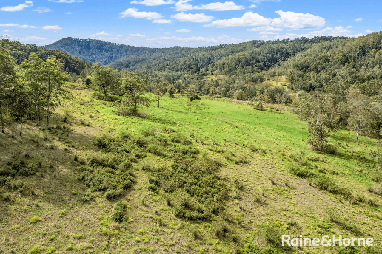 Blackhorse Road, Eden Creek via, KYOGLE, NSW 2474