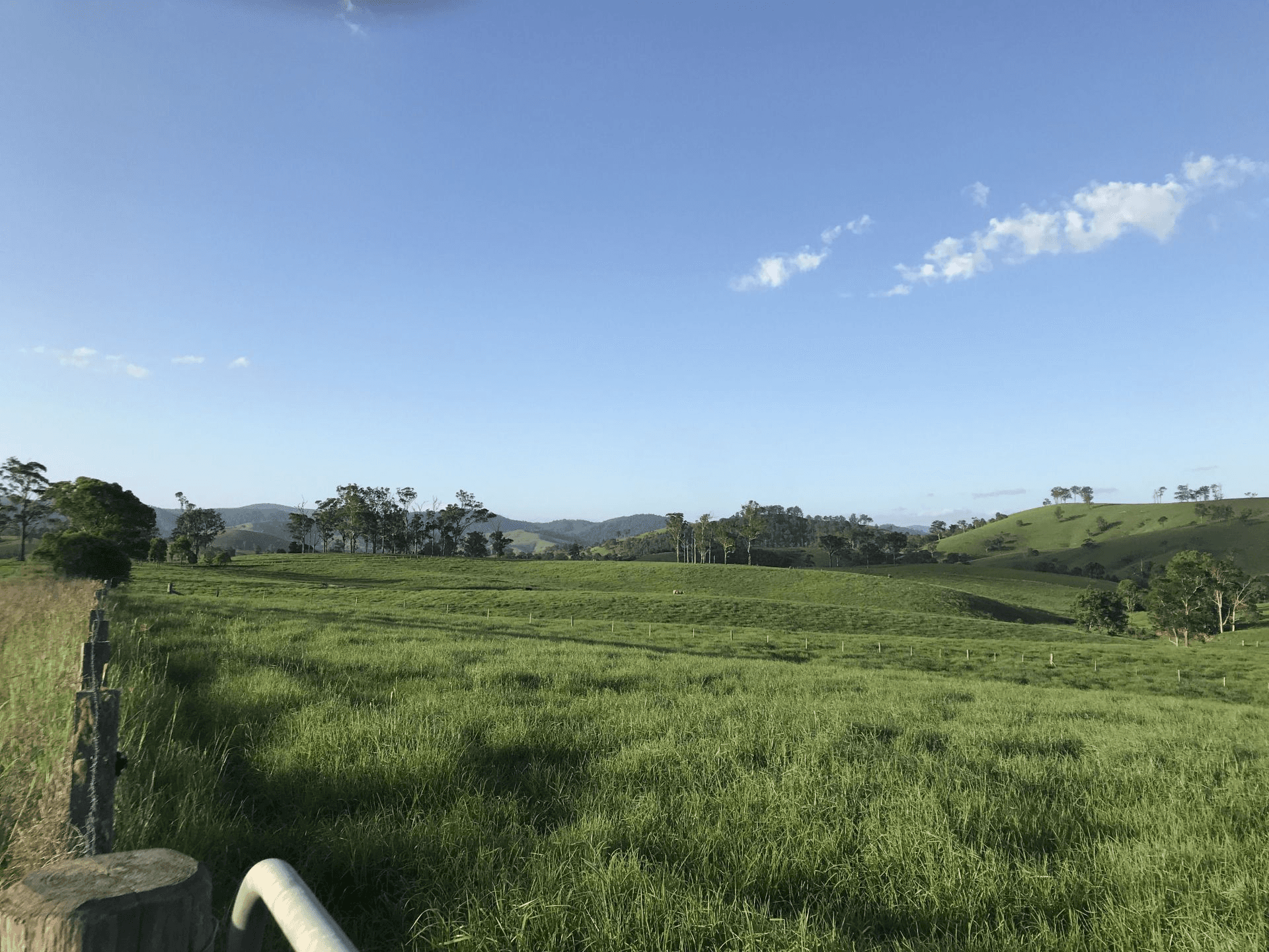 Lot 31 Beatties Island Rd, TUGRABAKH, NSW 2422