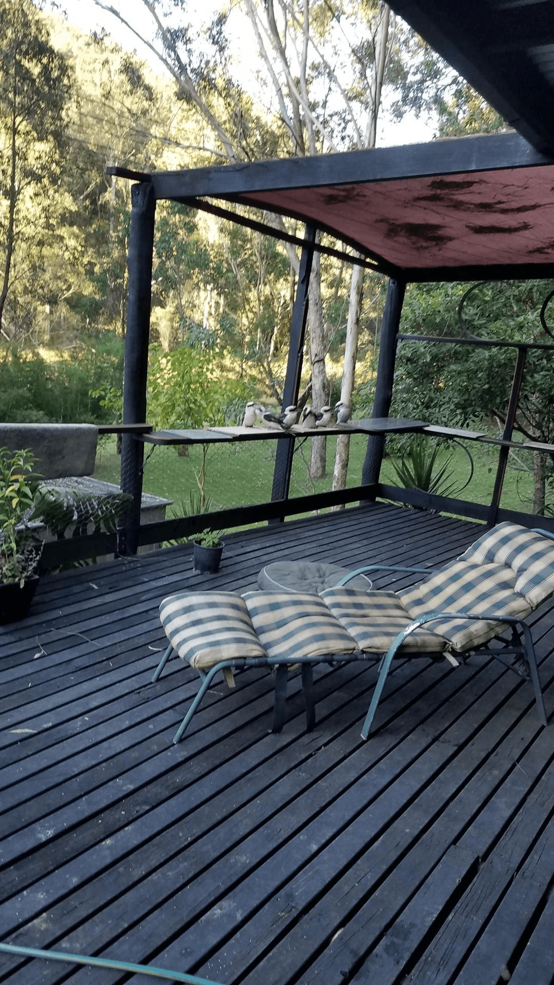 84 Angel Lane, WOLLOMBI, NSW 2325