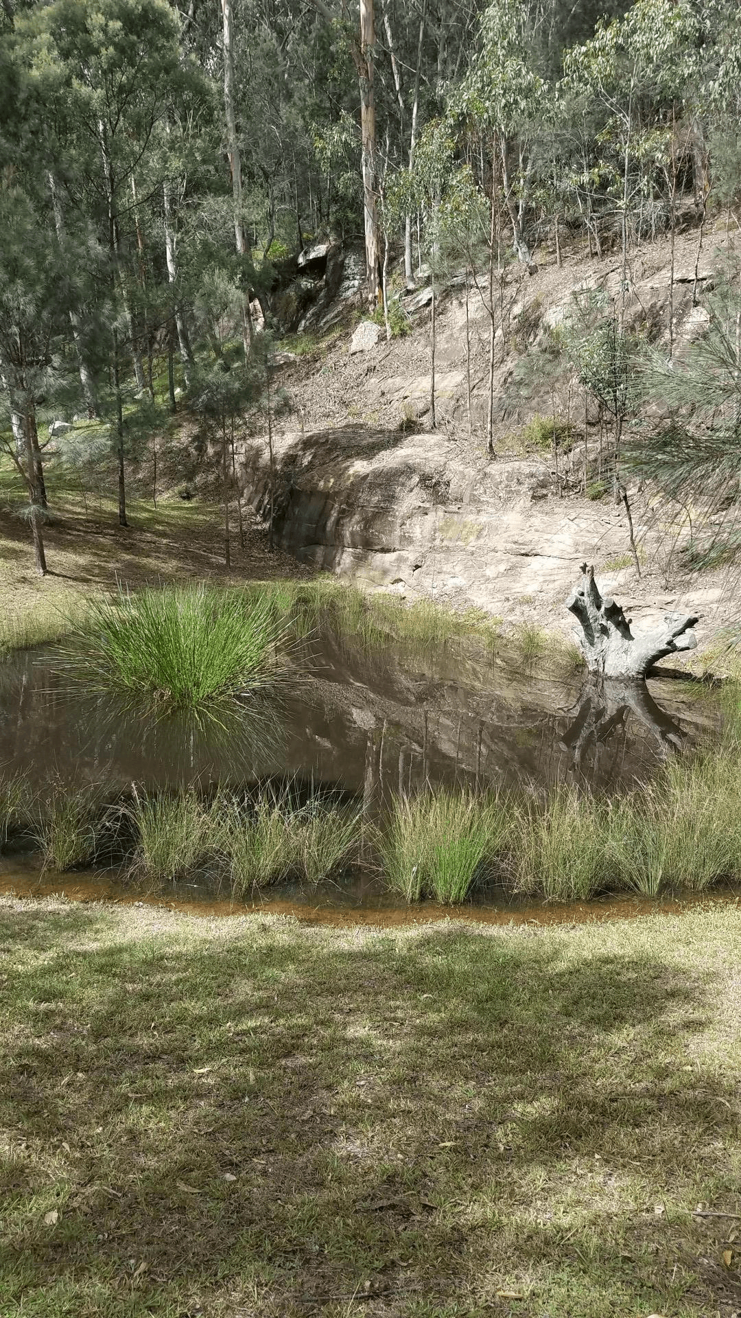 84 Angel Lane, WOLLOMBI, NSW 2325